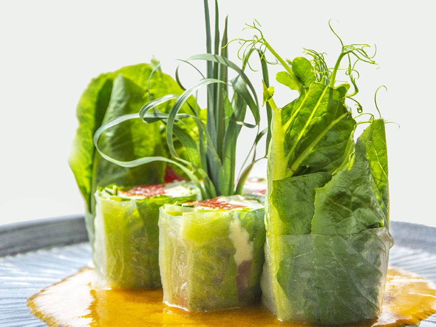 Spring rolls in rice paper with salmon
