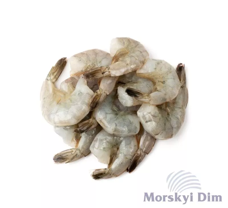 King prawns block fresh frozen without head, DELFIN 16/20, 1 kg