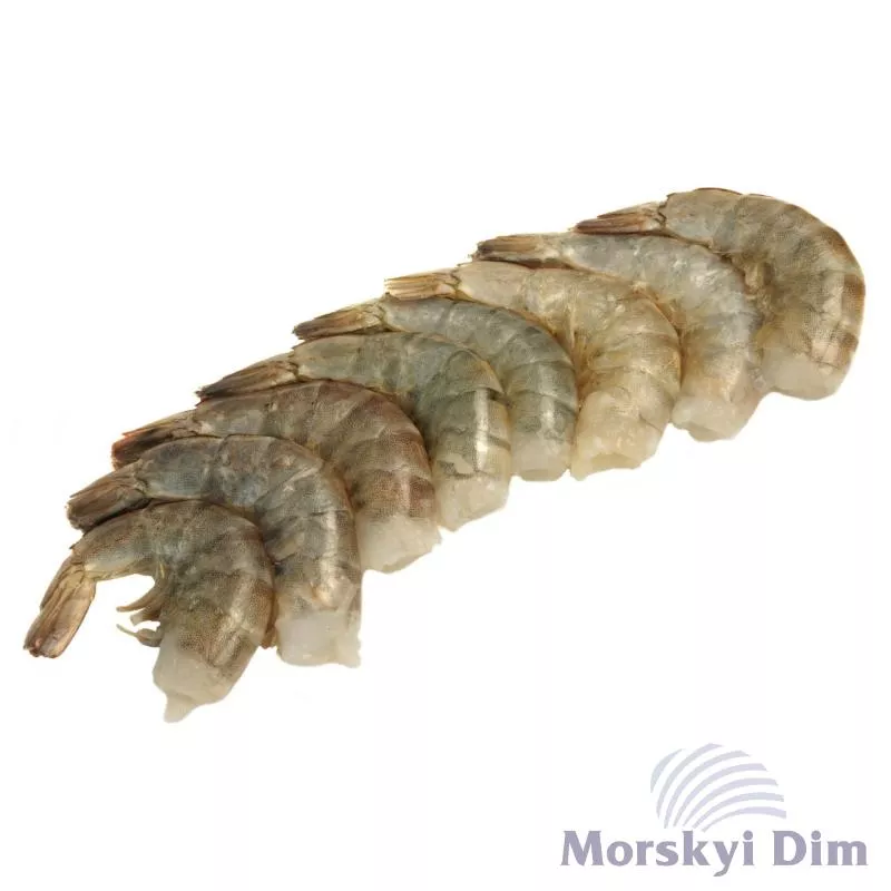 King prawns block fresh frozen without head, DELFIN 16/20, 1 kg